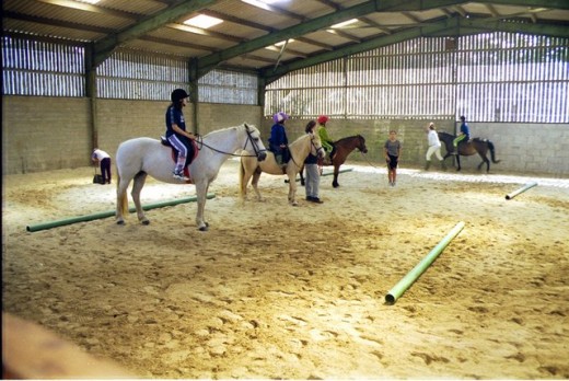 Lezione a cavallo o passeggiata di 1 ora & soggiorno 1 notte
