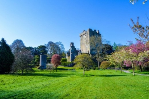 Cork & Blarney Castle Day Tour