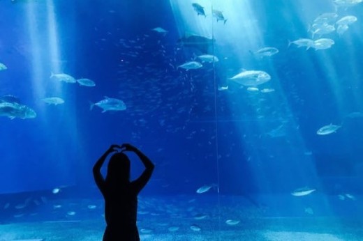 Visite de l'Aquarium de Paris - Billet enfant - (3-12 ans)