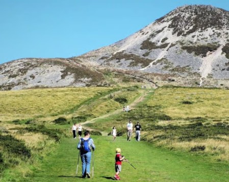 From Dublin: Wicklow, Powerscourt & Glendalough Day Tour
