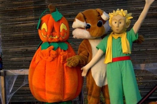  Parc du Petit Prince : Entrée Rapide - 1 Enfant (1 mètre - 11 ans)