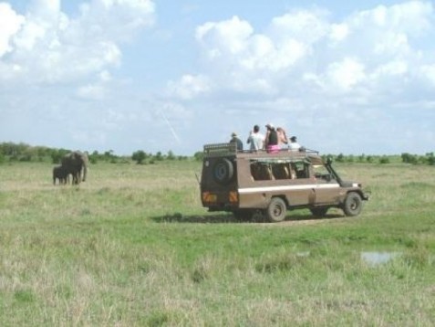 3 päivän safari Keniassa