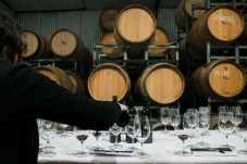 Barolo and Barbaresco wine tasting between Langhe and Roero