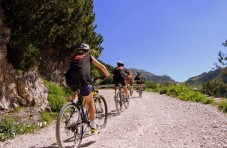 Tour in bicicletta e barca al tramonto a Valencia