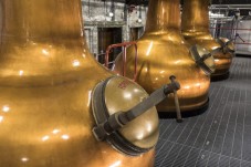 Jameson Midleton Distillery Experience Tour (Cork)