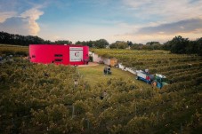 Oenological Escape Game & wine tasting for 7 - Chinon (37)
