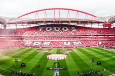 Pack SLB - Estádio & Museu + Cachecol + Red Snack p/2