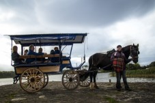Killarney Jaunting Car Tour & Lake Cruise for Two