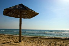 From Bucharest: Black Sea Day Trip