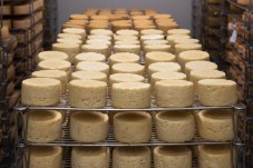 Gourmet city tour of Bordeaux