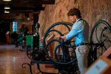 Tuk Tuk + Adega de vinho Porto com provas + Cruzeiro no Douro p/2