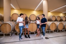 Sampling of Friulian wines with San Daniele prosciutto at the Russiz Villa