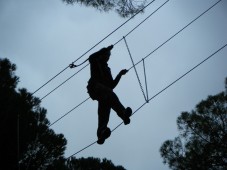 Aventura en los árboles en Sevilla