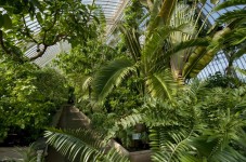 Kew Gardens Admission Ticket