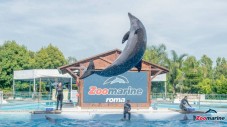 Biglietti regalo per Zoomarine: giornata genitore e figlio