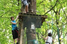 Sherwood Parc - 1 Enfant (1m à 1m40, -12ans)