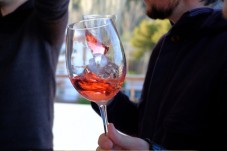 Ávila and Rueda wine tour from Madrid