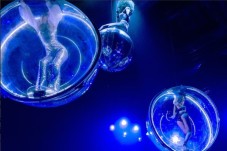Paradis Latin | Spectacle + Champagne - Paris (75)