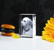 Adoquín de cristal 3D 110x75x65mm - 1 a 3 personas + columna de luz