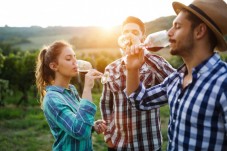 Romanian Wine Tour for Two from Bucharest