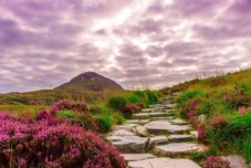 Connemara & Galway Bay Day Tour by Train