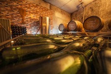 Private visit and tasting - 1 day - Chinon (37)