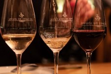 Apéritif vin et fromage avec un sommelier - Paris (75) 