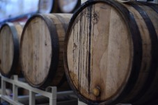 Degustazione Vini a Siena