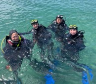 Try Scuba Diving in Galway