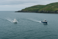 Dolphin and Whale Watching for Two in Ireland