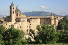 Private walking tour of Urbino with a local guide