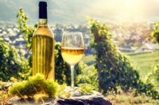 Romanian Wine Tour for Two from Bucharest