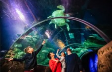 SEA LIFE London Tickets for Two