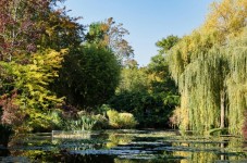 Private tour of Giverny and Versailles with hotel pick-up