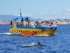 Safari de Golfinhos e Grutas no Algarve em Jet Boat