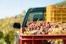 Degustazione Vini e Merenda Novara