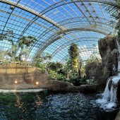Visite du Parc Zoologique de Paris -2 Enfants- (3-12ans)