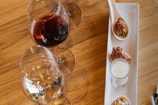 Medieval Soave: wine & olive oil tour