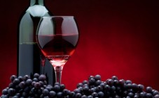Gourmet city tour of Bordeaux