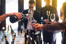 Barolo and Barbaresco wine tasting between Langhe and Roero
