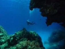 Scuba Diving PADI Course in Dublin