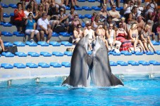 Biglietti regalo per Zoomarine: giornata genitore e figlio