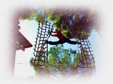 Aventura en los árboles en Sevilla