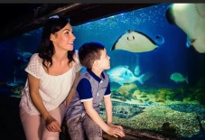 SEA LIFE London Tickets for Two