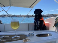Passeio Sunset (2h) com tapas em Veleiro Exclusivo no Tejo p/2