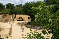 Visite du Bioparc - 2 Billets Enfant - (3-10ans)