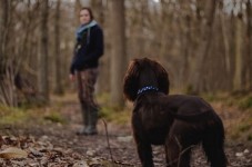 Truffle hunting experience in La Morra, Piedmont