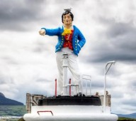 Sightseeing & Seal Watching Trip Sligo Bay