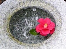 Aromatherapy Massage in Bristol – 60 Minute Treatment