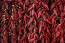 L'arte culinaria Lucana